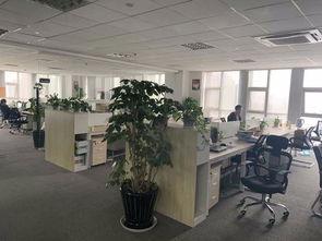 紡織印染ERP生產(chǎn)管理軟件 驅(qū)動(dòng)染廠智能升級與高效運(yùn)營的核心引擎